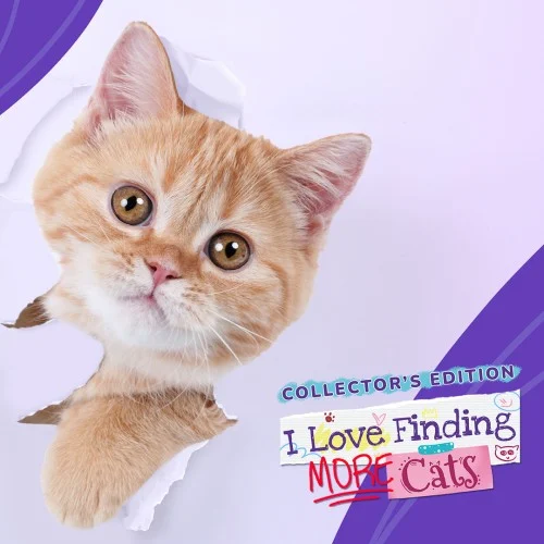 Jaquette du jeu I Love Finding MORE Cats! – Collector’s Edition sur Nintendo Switch