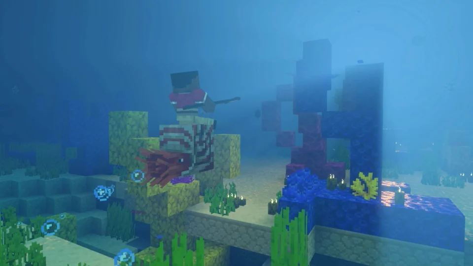 Capture d’écran de Minecraft, 3 sur 6