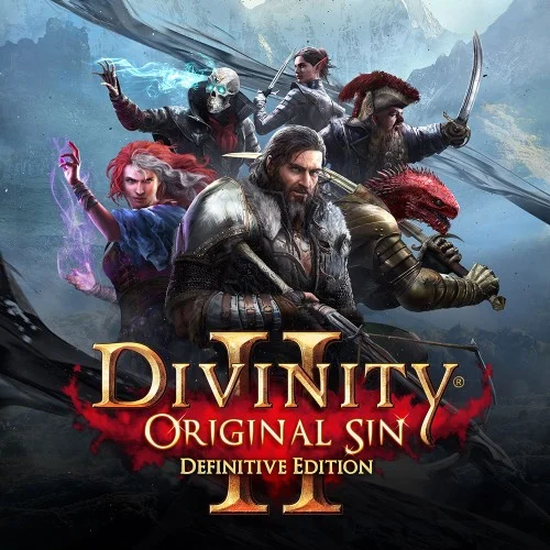 Jaquette du jeu Divinity: Original Sin 2 – Definitive Edition sur Nintendo Switch