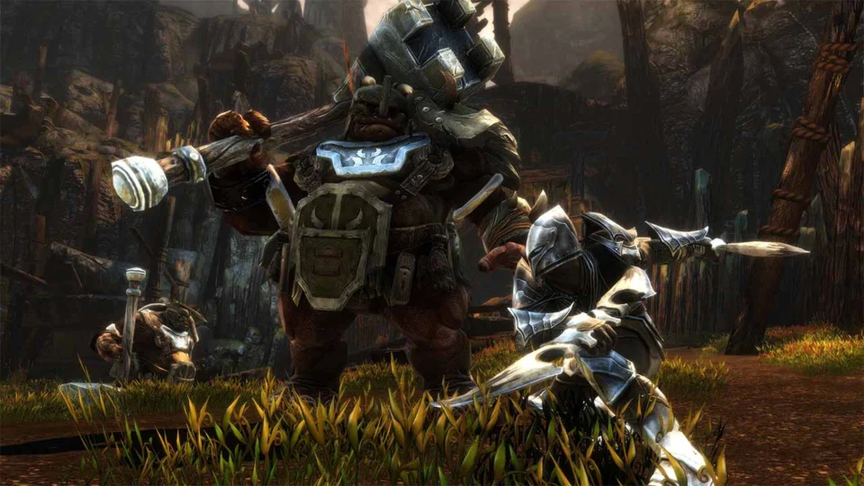 Capture d’écran de Kingdoms of Amalur: Re-Reckoning, 1 sur 6