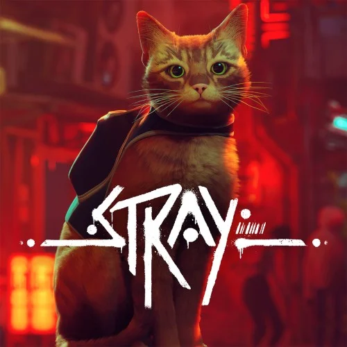 Jaquette du jeu Stray sur Nintendo Switch